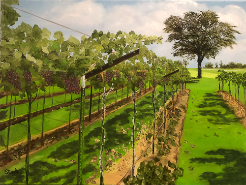 20250622-The Vineyard.jpg